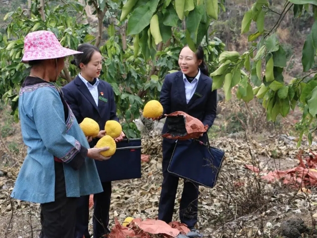 邮储银行黔南州分行：金融助力景区商业“活起来” 